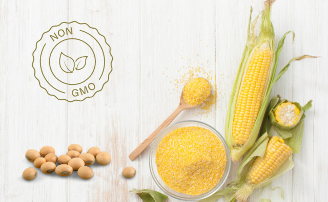 「NON-GMO」のマークと数種類の遺伝子組み換え作物